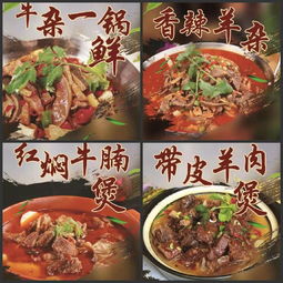 東莞伊食康清真食品公司 為河南優(yōu)質(zhì)牛羊肉代言